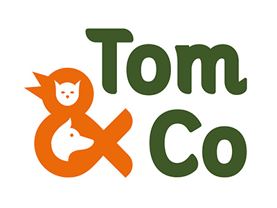Tomco Centre Commercial Carrefour Lescapade